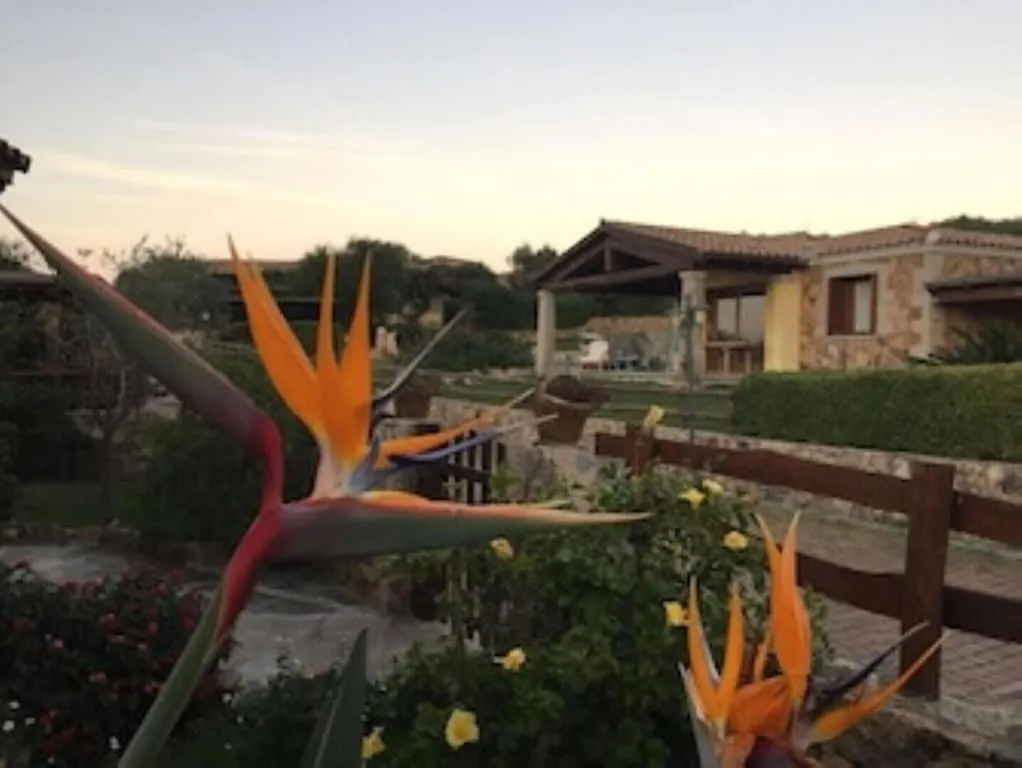 Bellissima Villa Alessandra Grande Piscina Privata Giardino Bq Posto Auto Tanaunella Italy